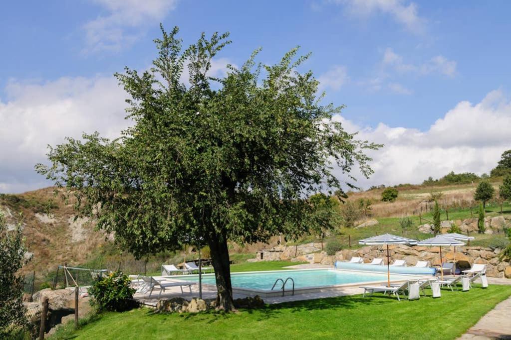 Girasole Cottage Overlooking The Orcia Valley In Tuscany Radicofani Eksteriør billede